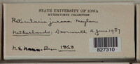 Image Associated With the Occurence